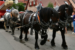 2024-neunhof-krwa-obunt_54090927214_o