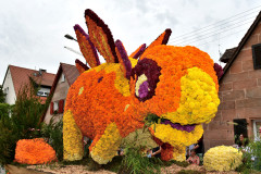 2024-neunhof-krwa-obunt_54090928754_o