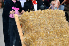 2024-neunhof-krwa-obunt_54091050565_o